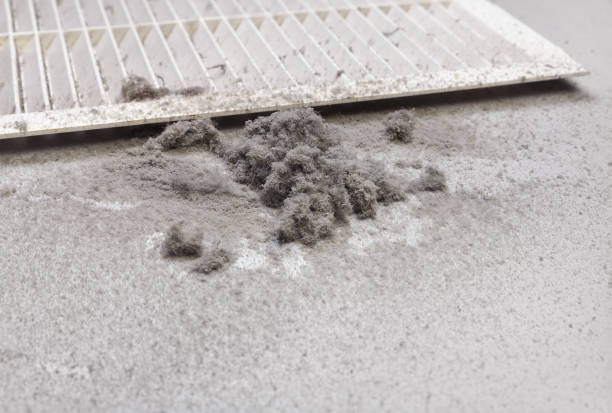 Best Air Duct Mold Removal  in Black Earth, WI