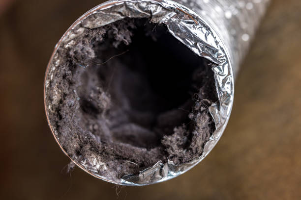 Best Ductwork Cleaning Services  in Black Earth, WI
